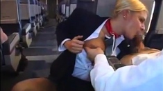 Stewardess Blowjob All