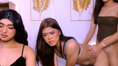 Threesome Sex With Pretty Ladyboys