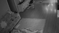 Amateur Hidden Cams Reveal Cock Riding Hoes