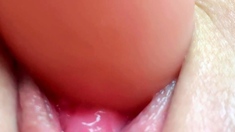 Close up pussy toying on cams