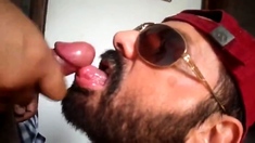Rio de Janeiro Bull Sucking the Machos Off