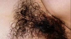 My mature hairy girl! Amateur!