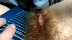 hairy redhead