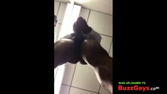 Biggest black cock cumshot toilet office