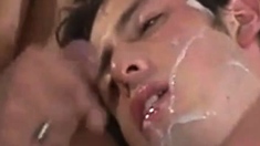 Twink Cum Pig Nice Facial