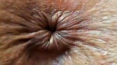 close up butthole winking